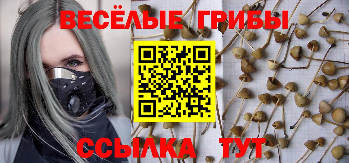 Псилоцибиновые грибы Cubensis Дагестанские Огни